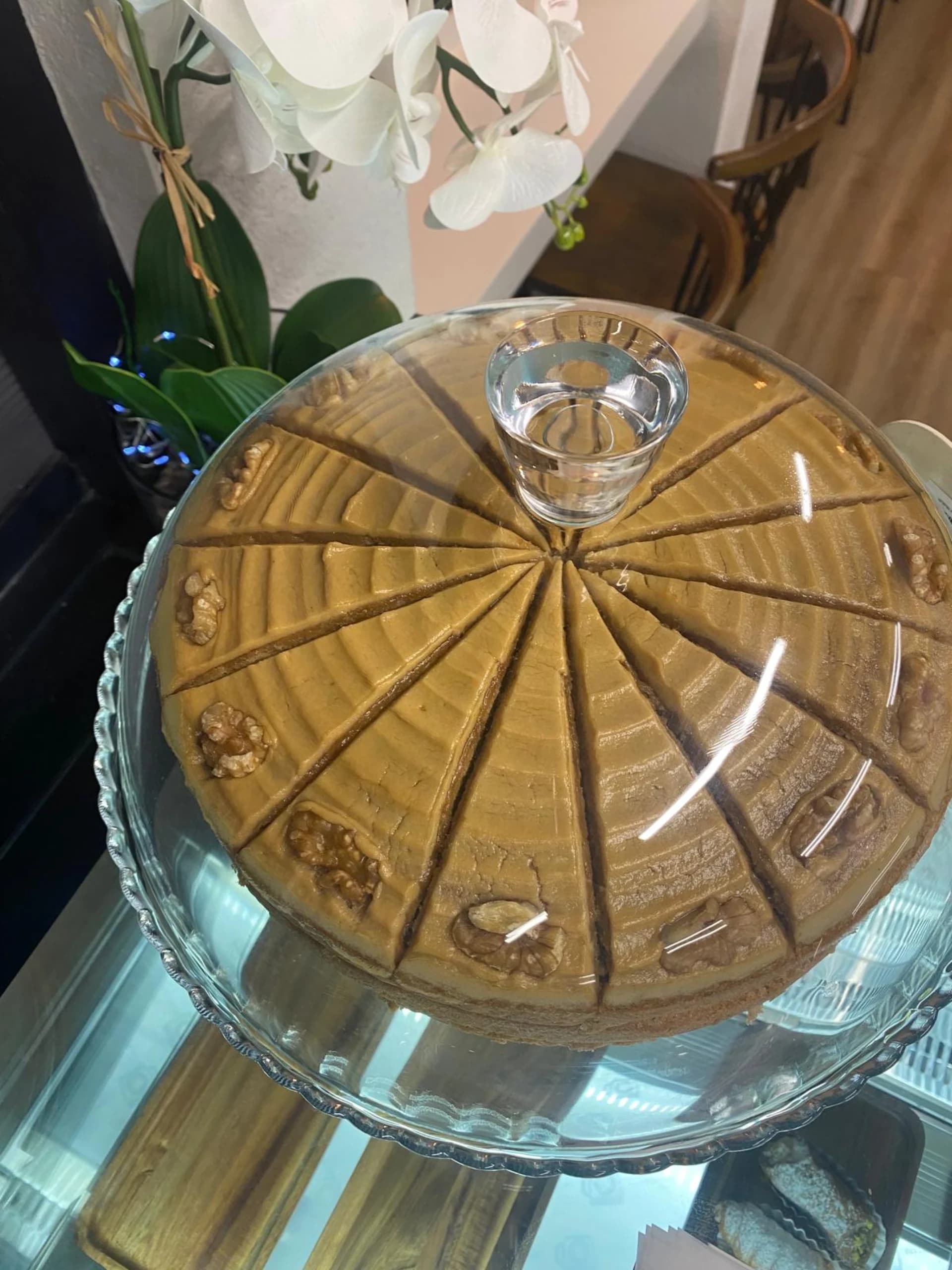 Rushden Latte Laundrette Opening Day Celebration 28